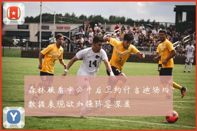 森林狼看中公牛后卫约什吉迪场均数据表现欲加强阵容深度
