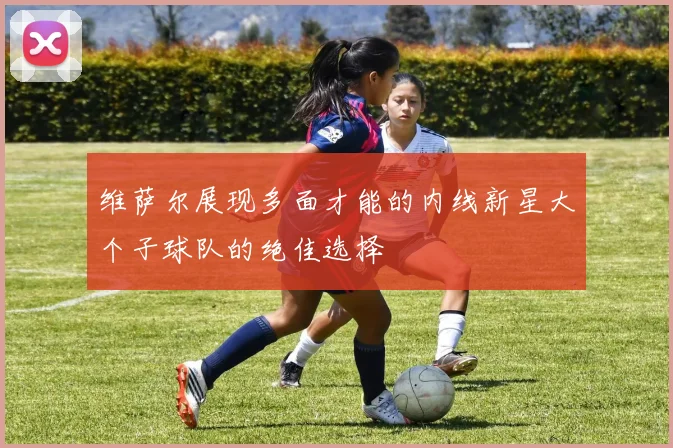 维萨尔展现多面才能的内线新星大个子球队的绝佳选择